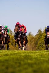 2018 Qatar Goodwood Festival.QGF2018.1st - 4th August 2018.Photo: Drew Gibson