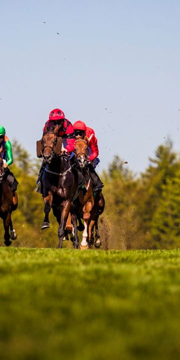 2018 Qatar Goodwood Festival.QGF2018.1st - 4th August 2018.Photo: Drew Gibson