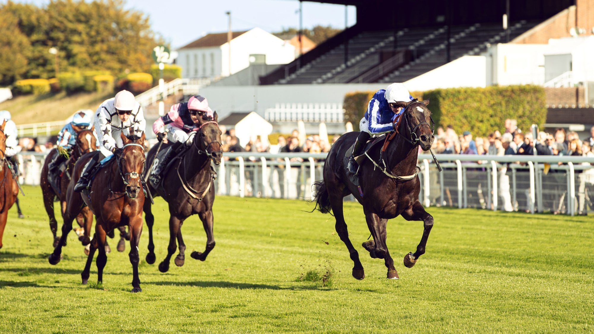TIMEFORSHOWCASING 2026 Winner of the British EBF £100,000 two-year-old Fillies' Series Final Ph. by Max Carter.jpg