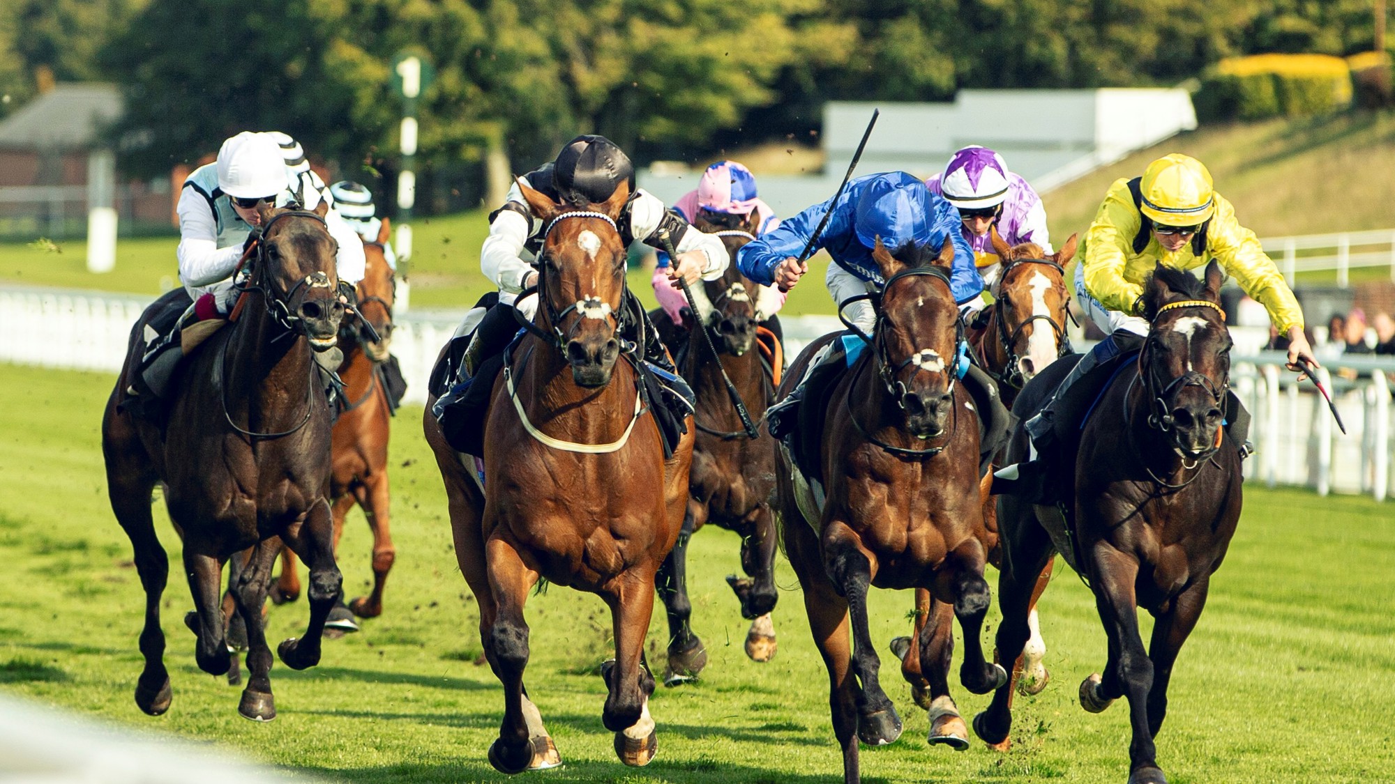 Naqeeb wins the Virgin Bet Foundation Stakes at Goodwood Racecourse Ph by. Max Carter.jpg
