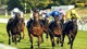 Naqeeb wins the Virgin Bet Foundation Stakes at Goodwood Racecourse Ph by. Max Carter.jpg
