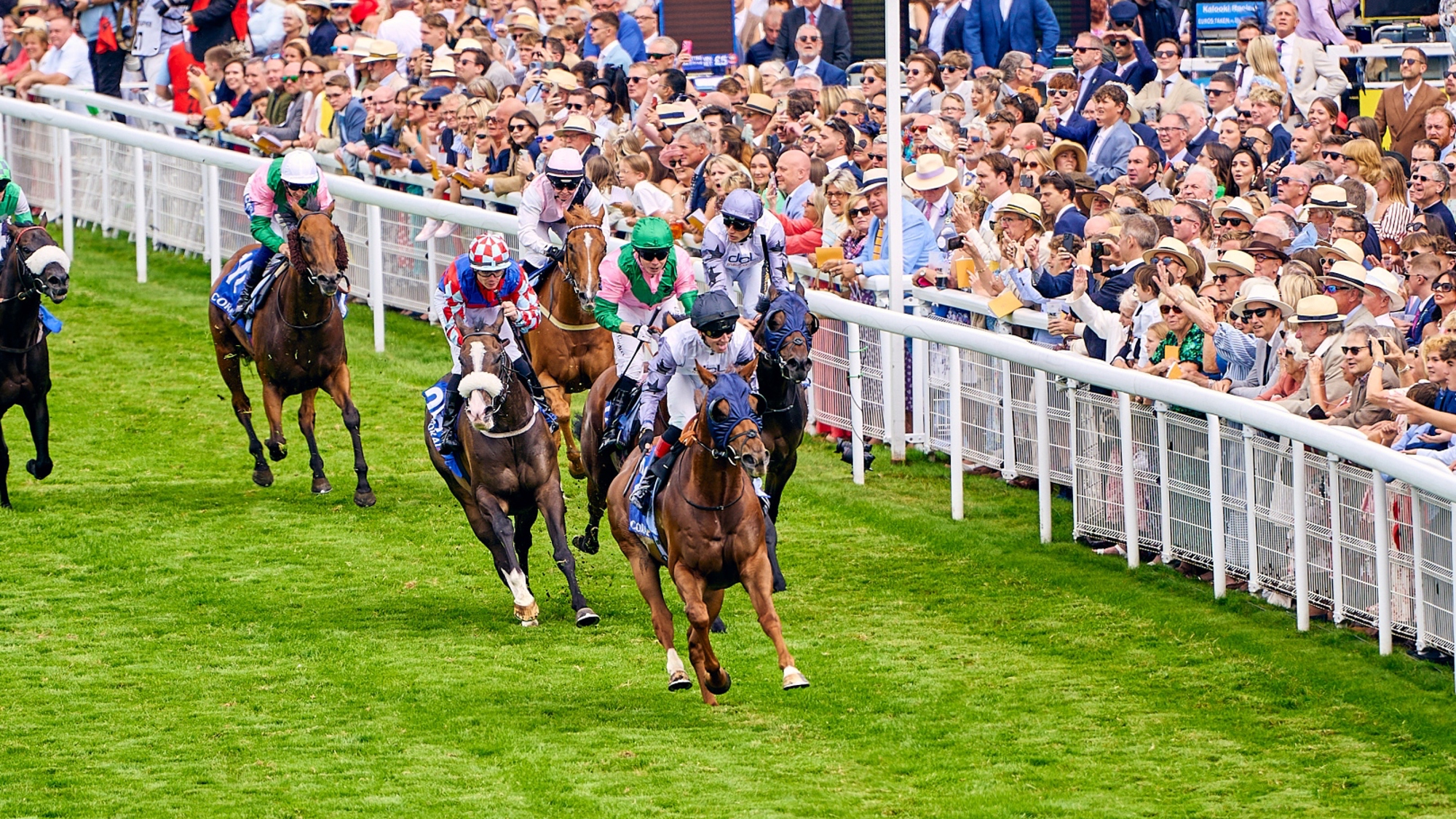 Tickets for all Horseracing fixtures at Goodwood Racecourse now on sale Ph. by Dominic James.jpg