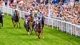 Tickets for all Horseracing fixtures at Goodwood Racecourse now on sale Ph. by Dominic James.jpg