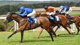 Trawlerman winning at Goodwood 2022 ph.Sam Stephenson.JPG
