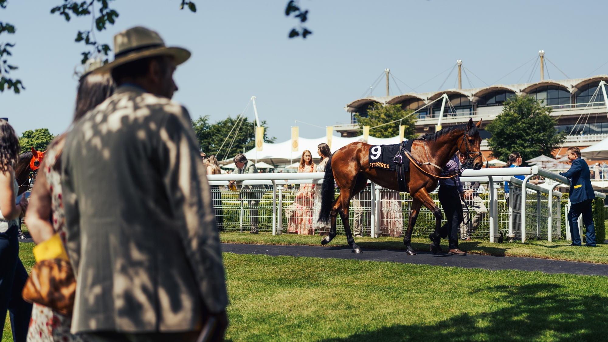 Bank Holiday sunshine in the Parade Ring for May Festival presented by Fitzdares. Ph. by Jack Beasley.jpg