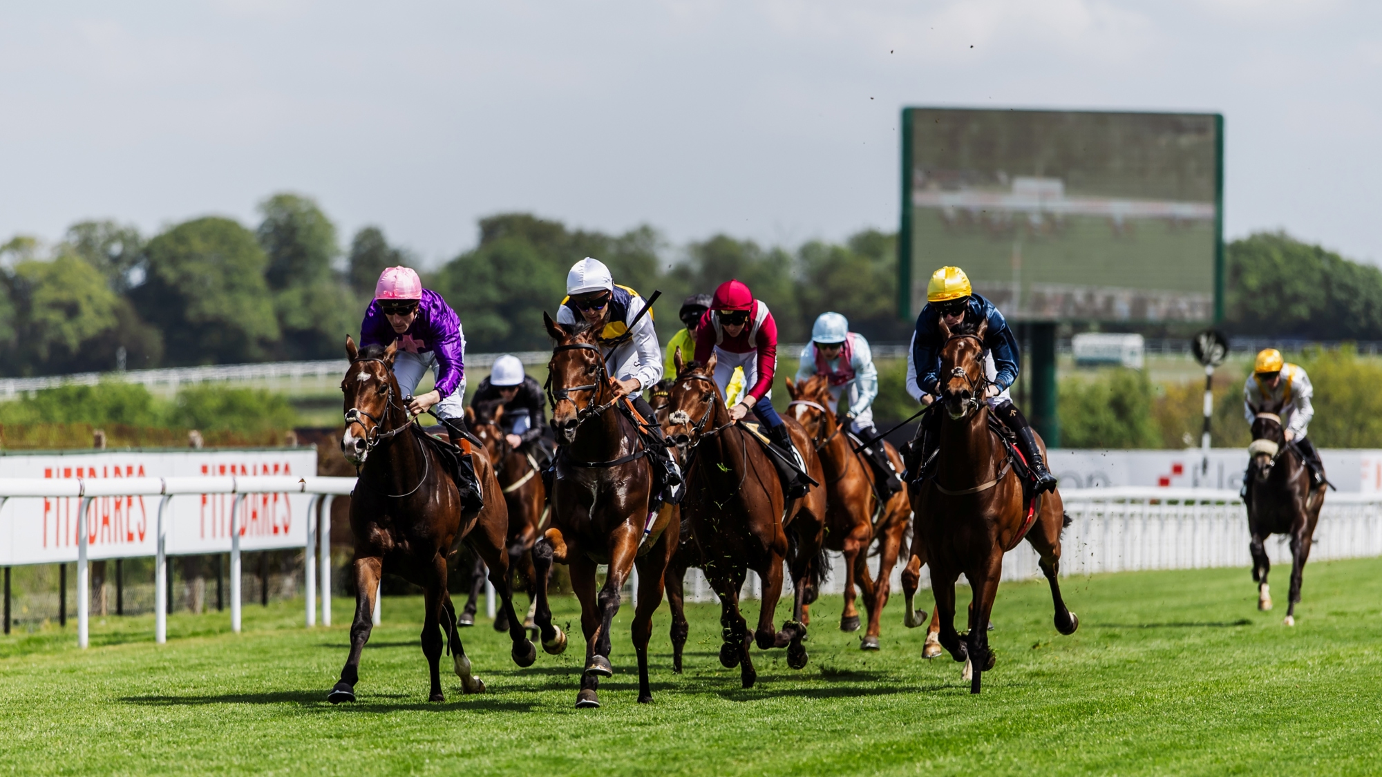 Opening race of Saturday's Season Opener presented by Fitzdares. Ph. by Megan Dent.jpg