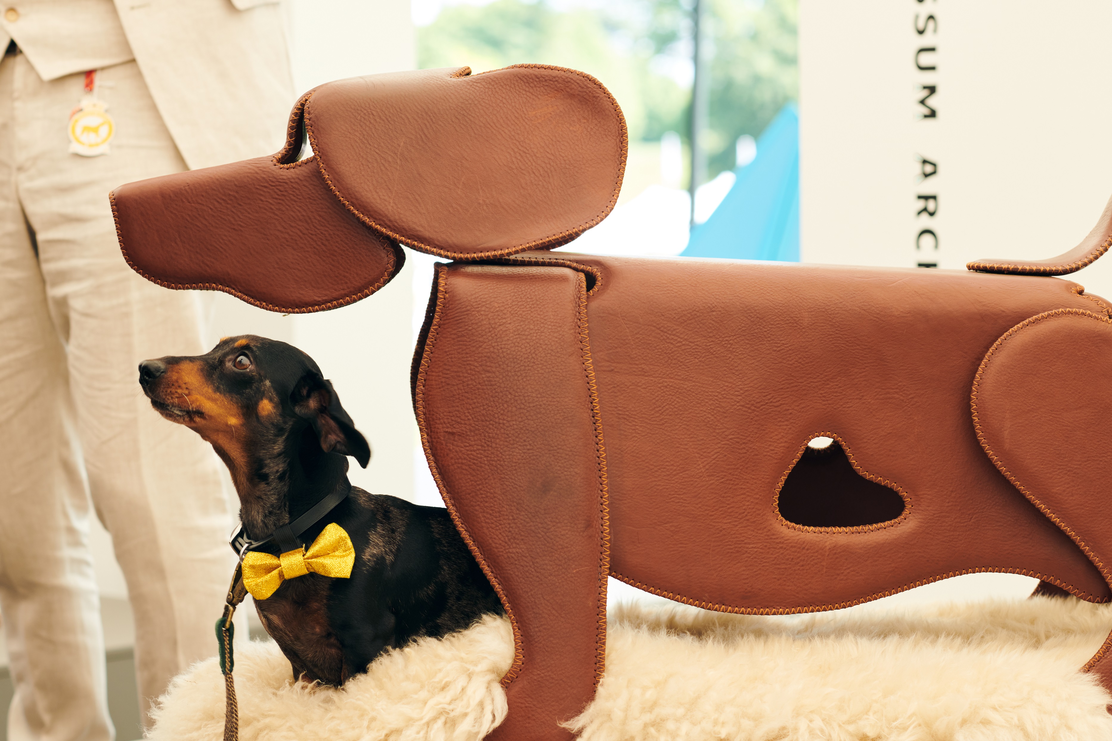 barkitecture-at-goodwoof-2024.