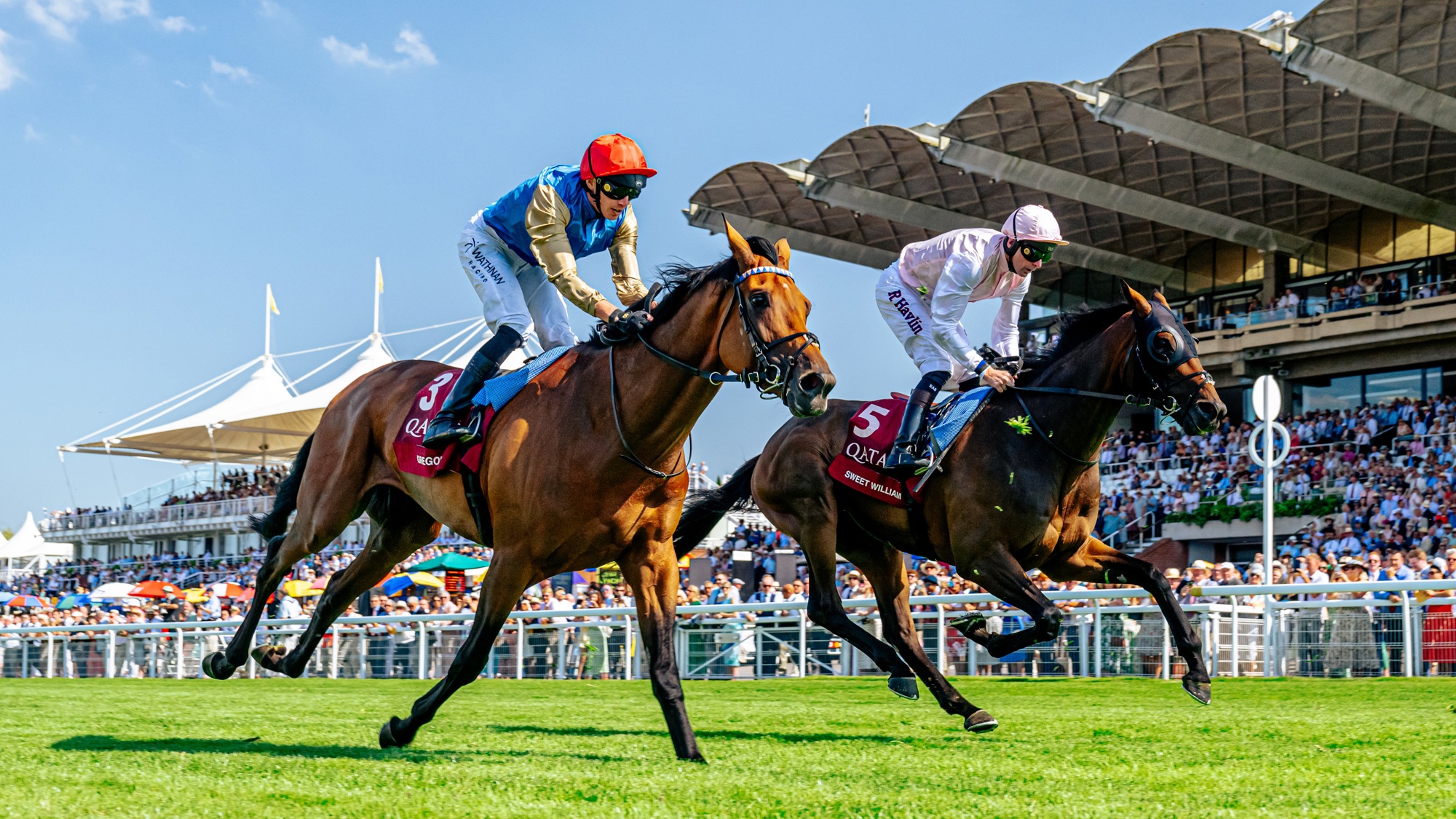 Qatar Goodwood Festival. Ph. by Jayson Fong..jpg