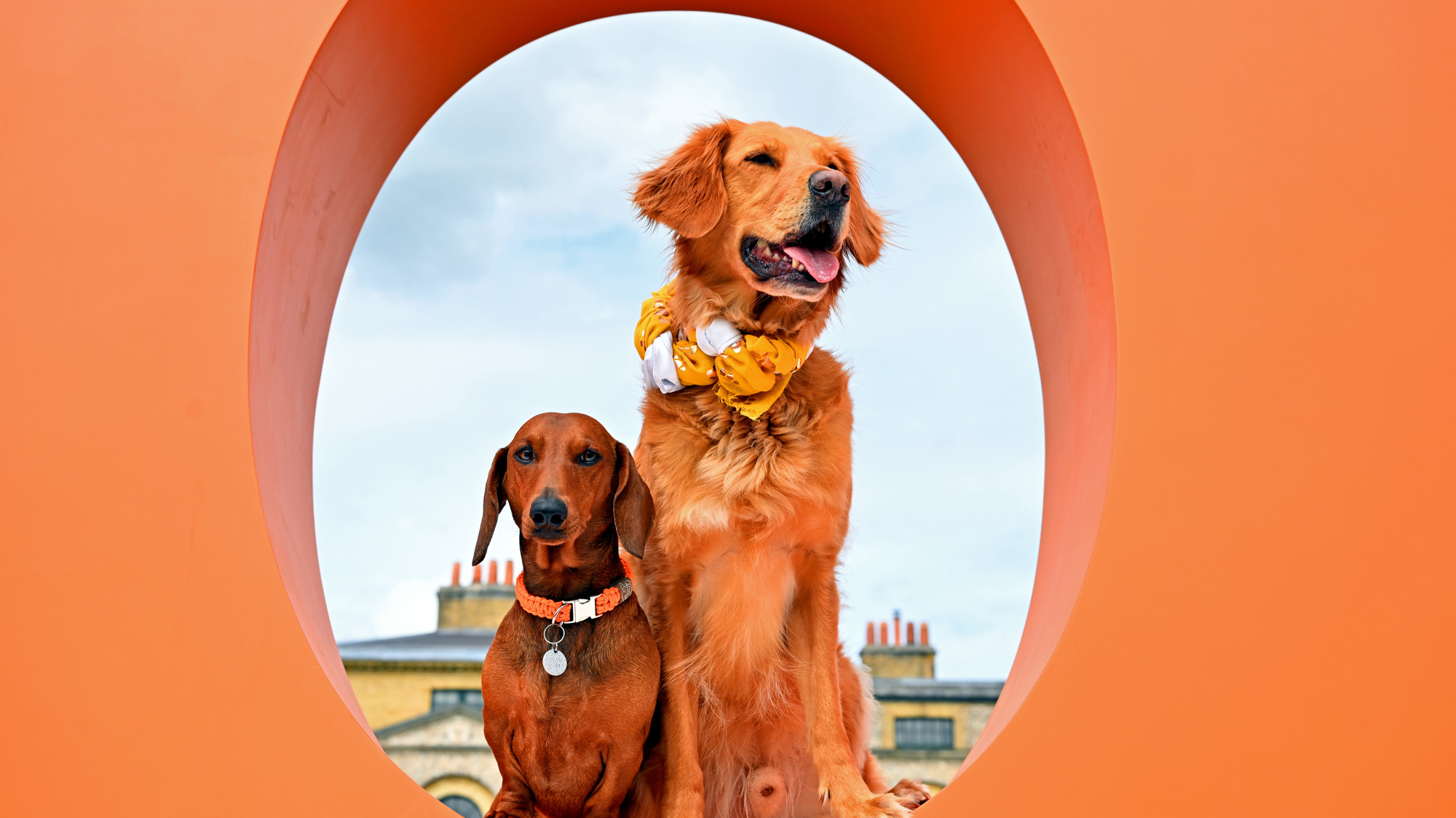 Goodwoof 2026. Ph. by PA Media, Jas Lehal..JPG