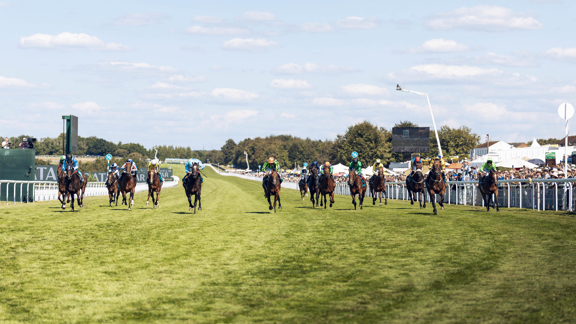 American Affair edges out rivals in King George Qatar Stakes. Ph. by Max Carter..jpg