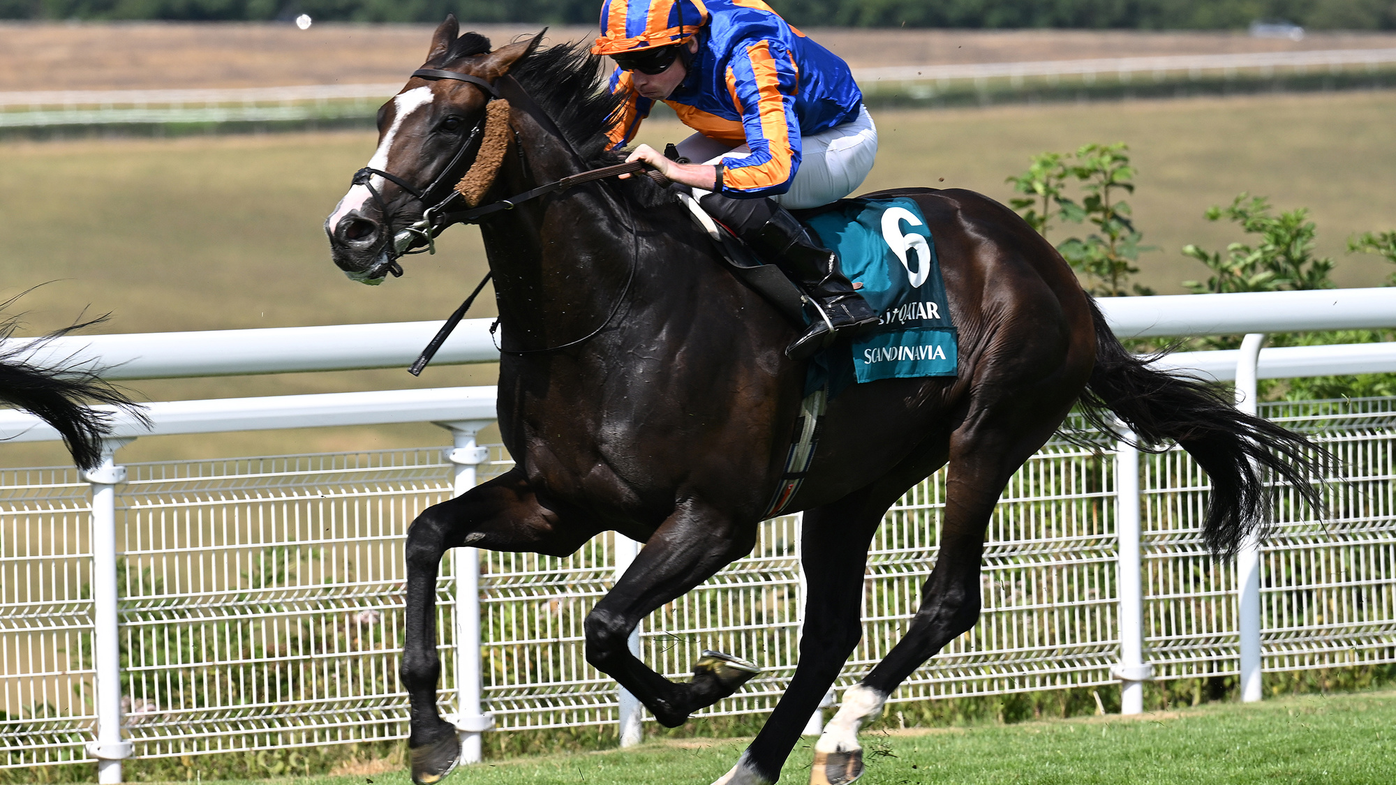 Scandinavia makes it seven on the spin in Al Shaqab Goodwood Cup.JPG