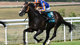 Scandinavia makes it seven on the spin in Al Shaqab Goodwood Cup.JPG