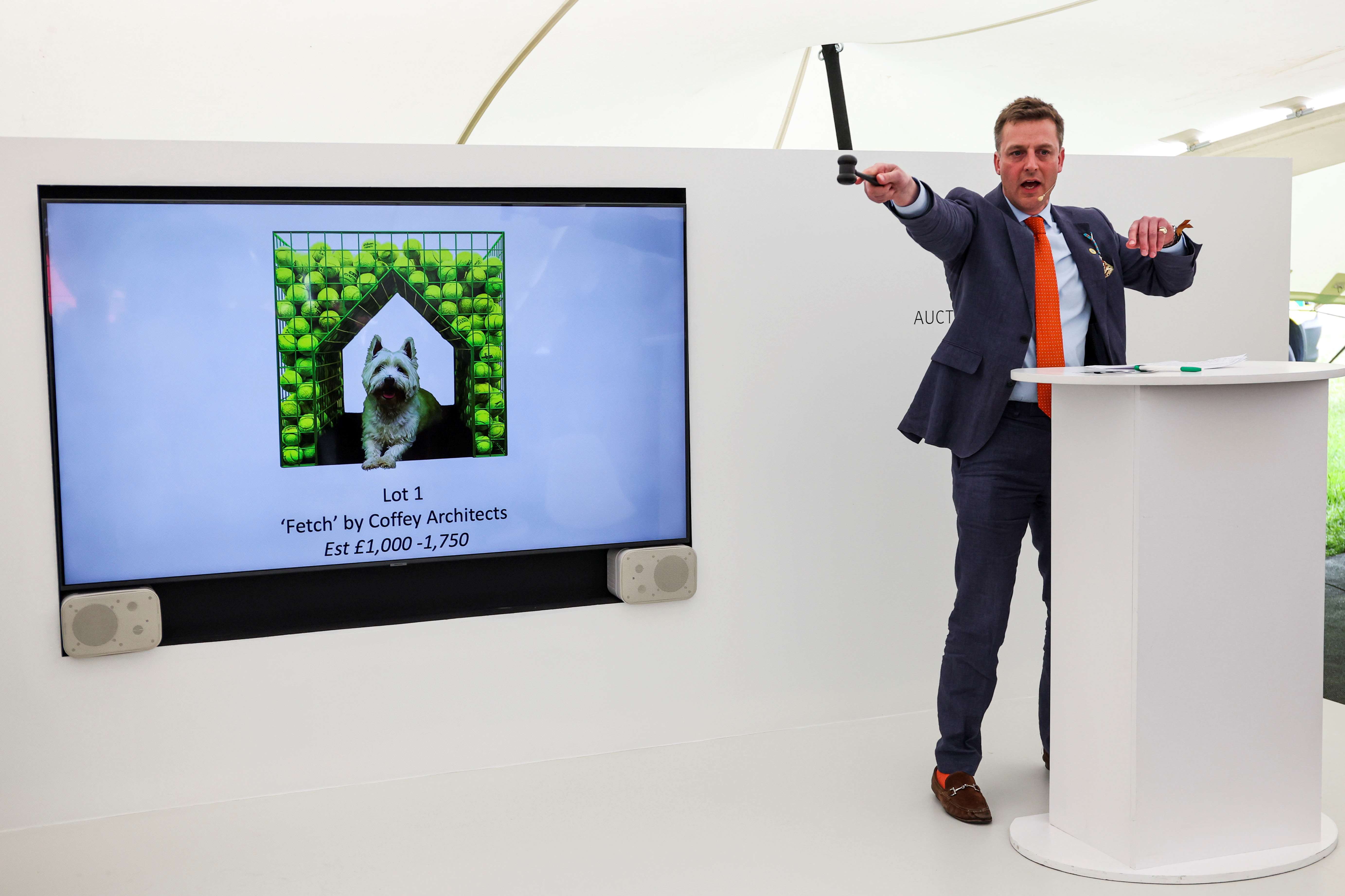 Steven Stringer Jet-setting dogs: Goodwood announces theme for Barkitecture kennel ...