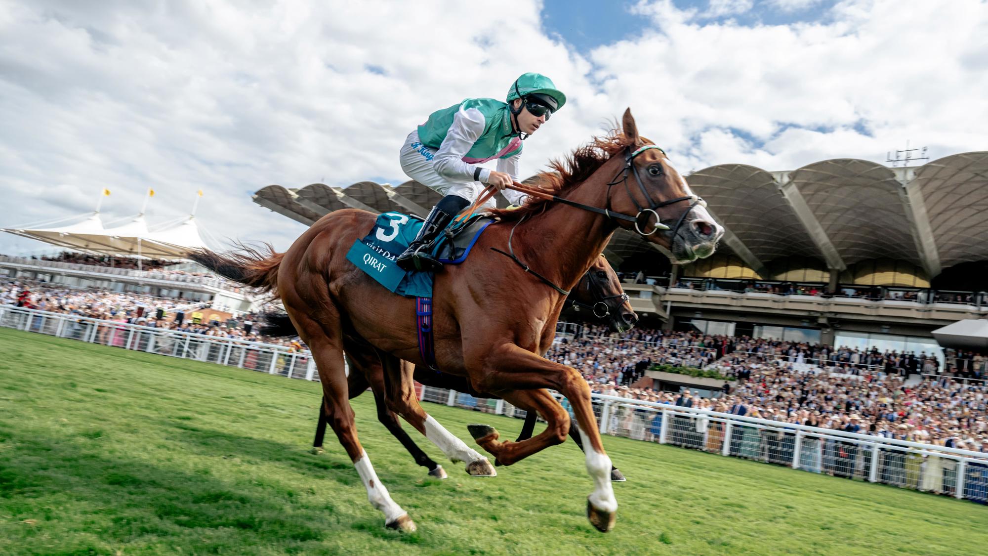 QGF 2025 Qirat wins the Visit Qatar Sussex Stakes. Ph. by Jayson Fong.JPG