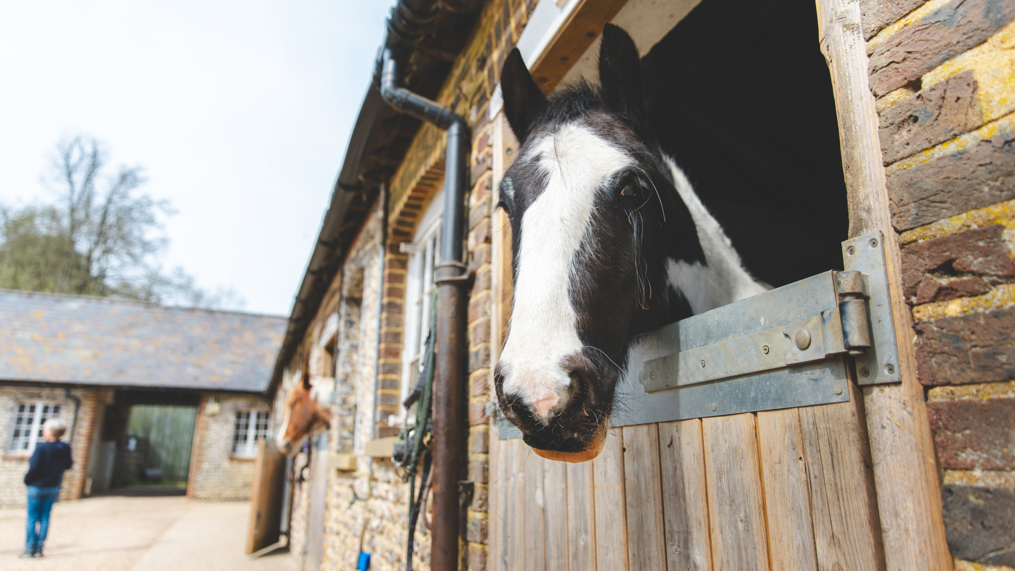 KJR- Goodwood Horse & Groom- 08.04.25-18.jpg